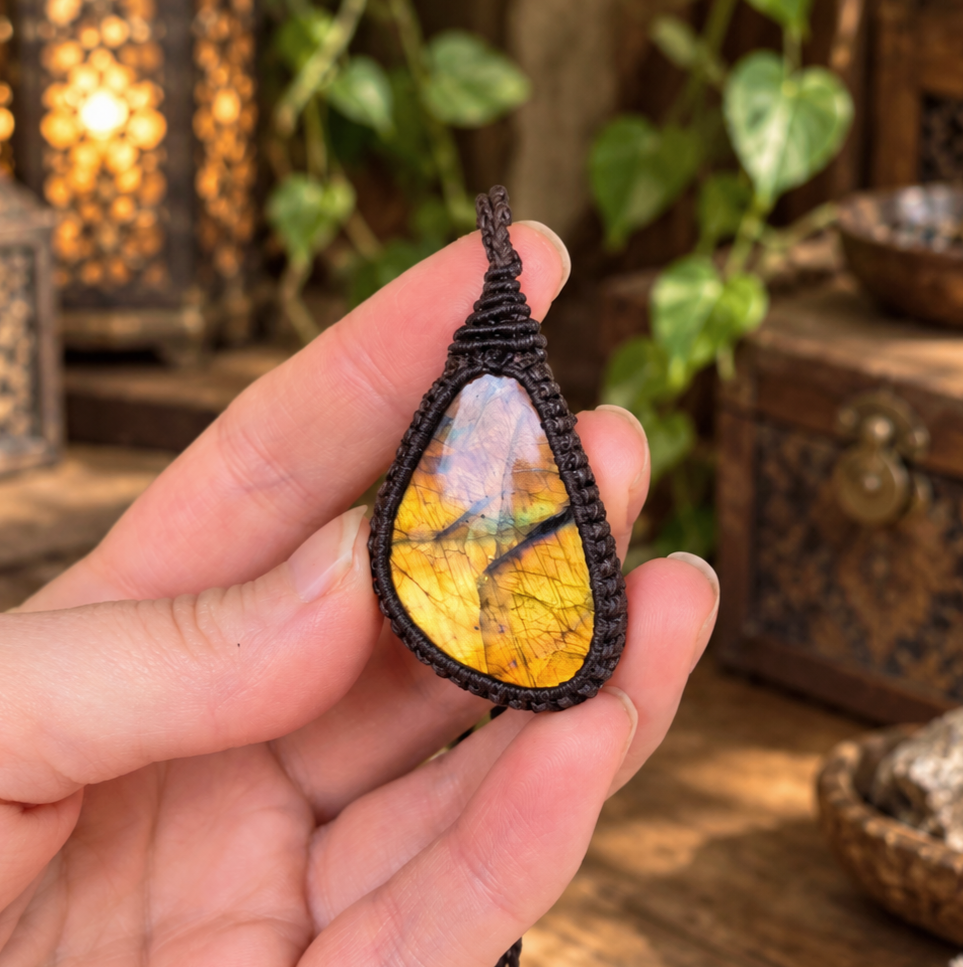 Golden Sunset Collection