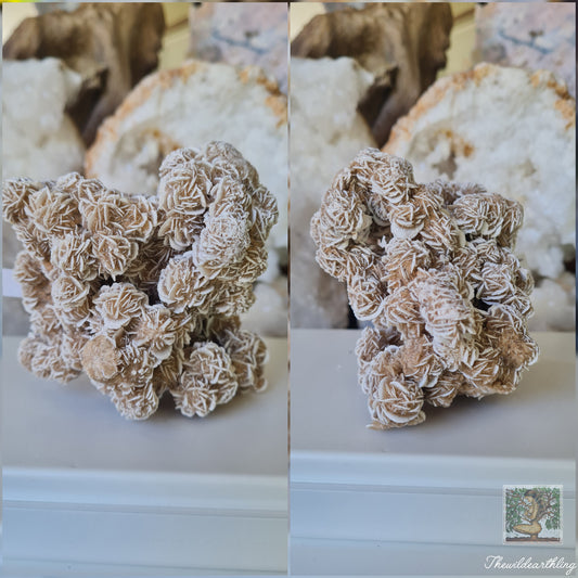 Desert Rose 353g