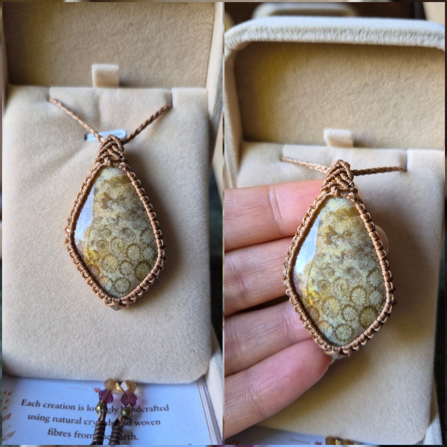 Fossil Coral Wrapped in Caramel