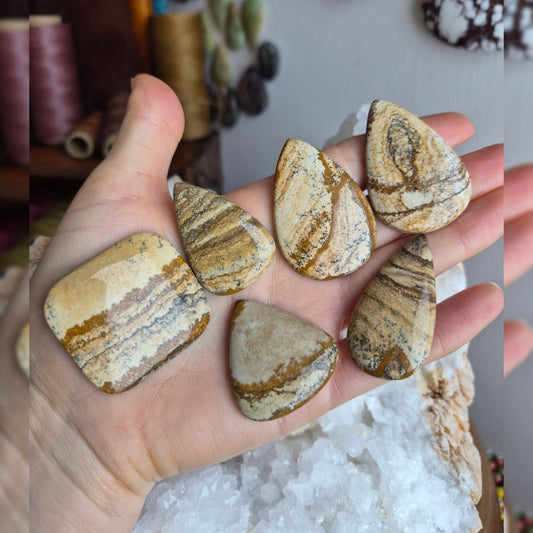 Picture Jasper