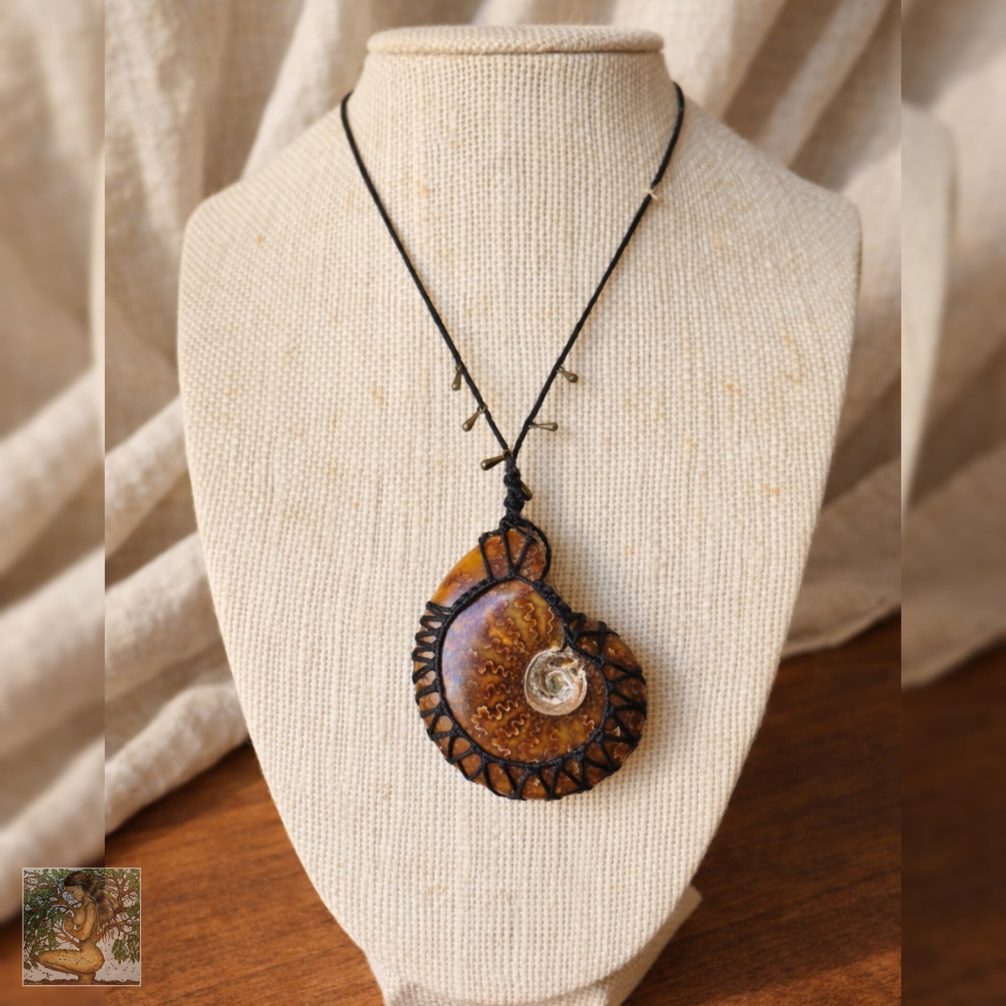Ammonite Fossil Wrapped in Black