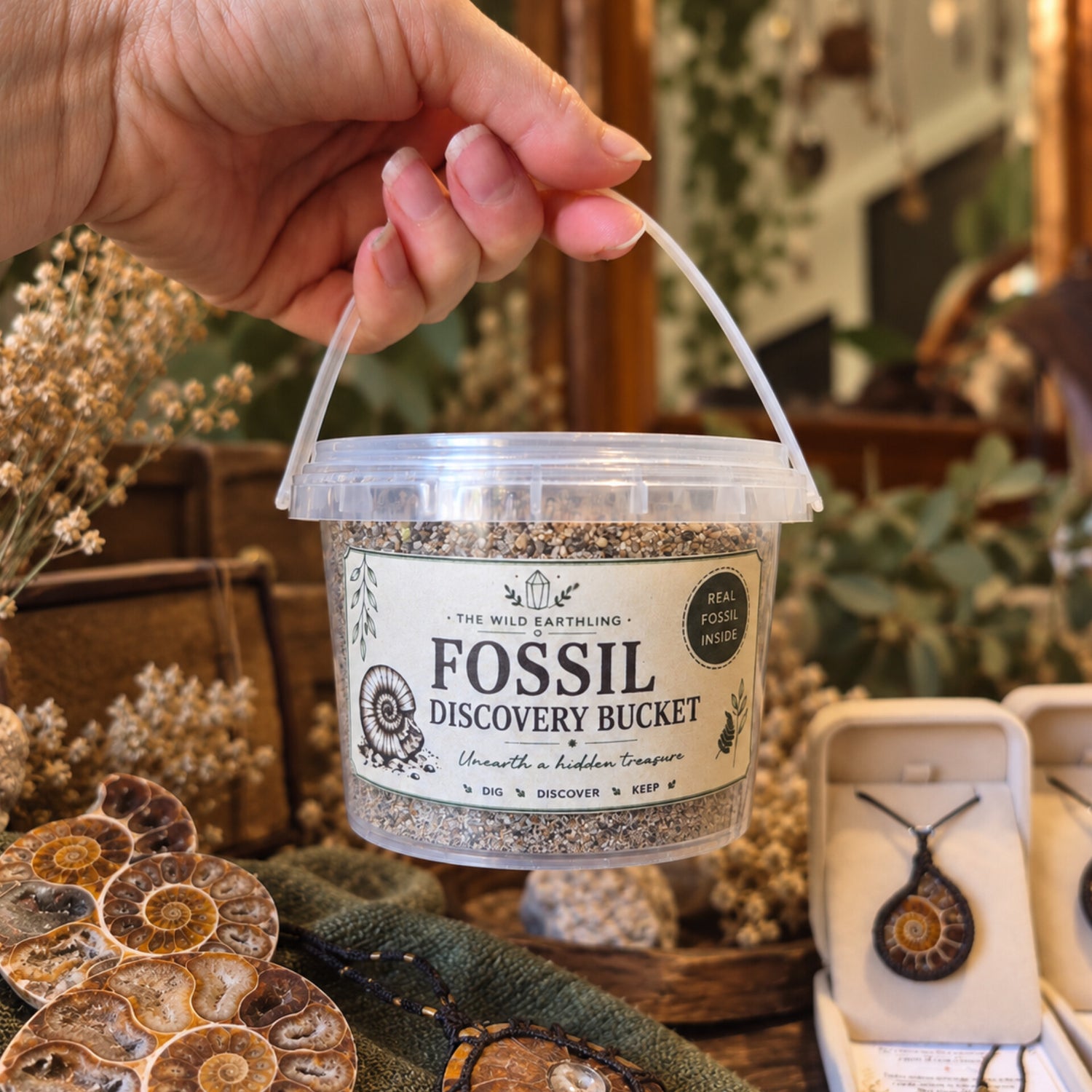 Fossil Discovery Buckets