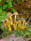 Mycena Subviscosa Lamp