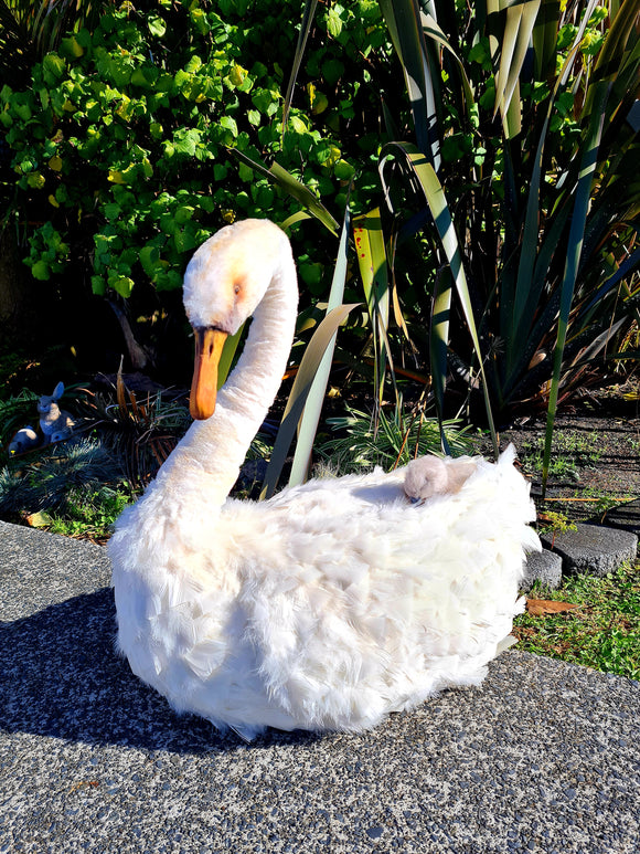 Life Sized Hand Crafted White Swan and Baby Cygnet