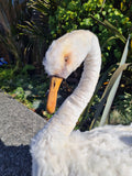 Life Sized Hand Crafted White Swan and Baby Cygnet