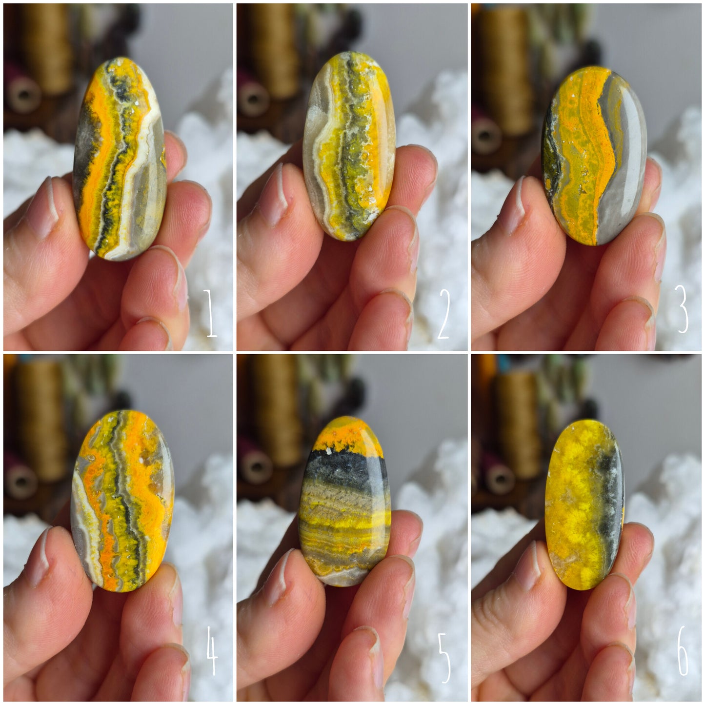 Bumblebee Jasper