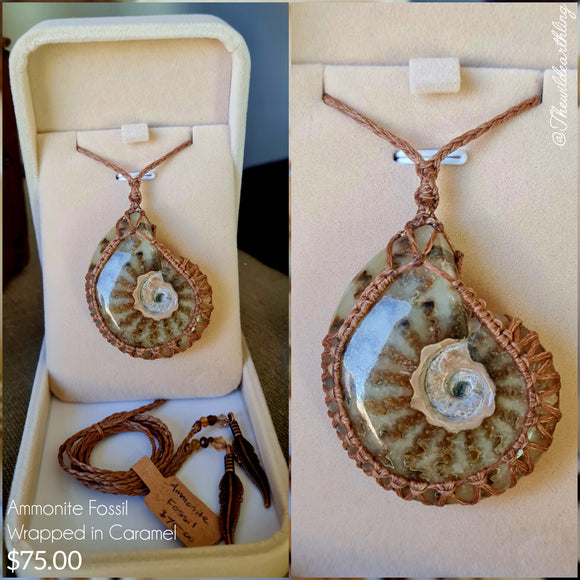 Ammonite Fossil Wrapped in Caramel