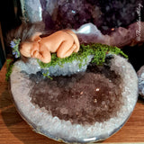 Baby Nala on Quartz (Release Date 1st June 3pm)