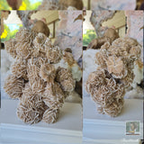 Desert Rose 1.64kg