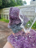 Amethyst Flower with Selenite Slab