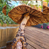 Sleeping Rodent in his Fungi Hollow
