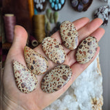 Leopard Skin Jasper