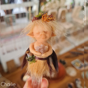 Charlie (Release Date 1st June 3pm)