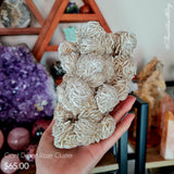 Desert Rose Cluster