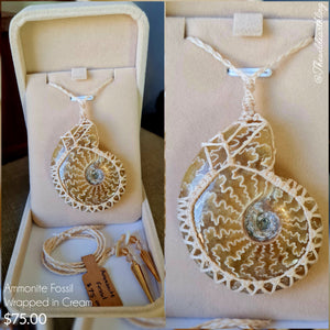 Ammonite Fossil Wrapped in Cream