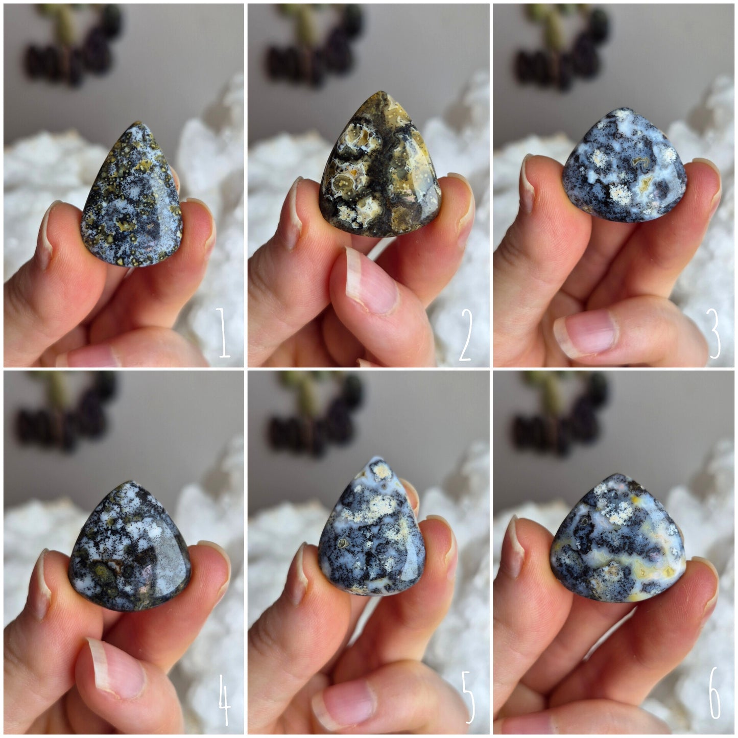 Orbicular Jasper