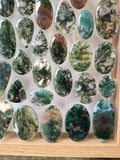 Moss Agate x1