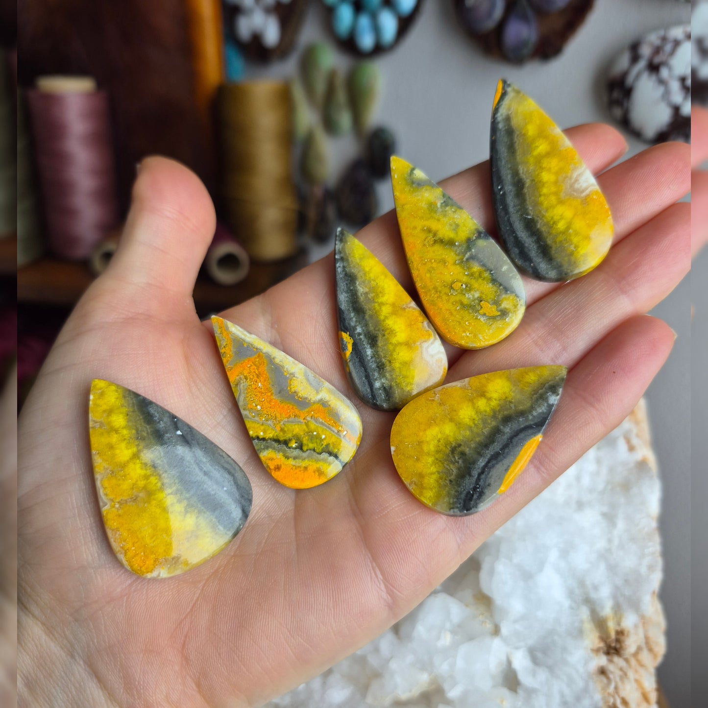 Bumblebee Jasper