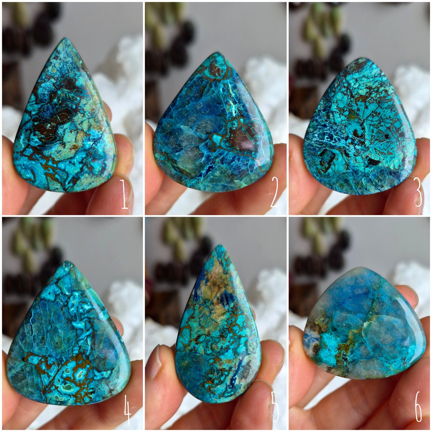 Crysocolla & Shattuckite