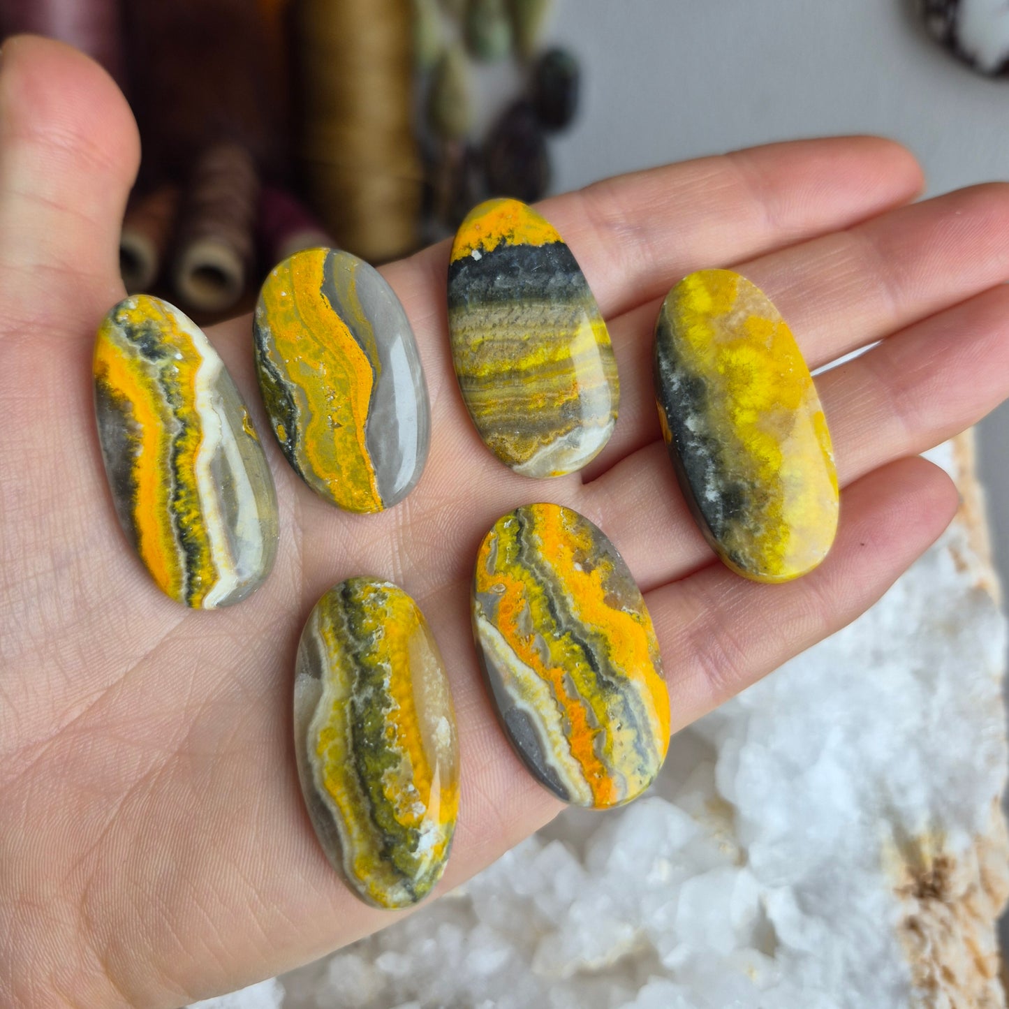 Bumblebee Jasper
