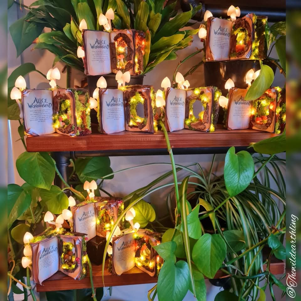 Labyrinth Light up Book Nook