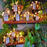 Labyrinth Light up Book Nook