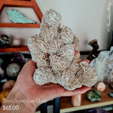 Desert Rose Cluster