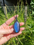 Blue Flash Labradorite Wrapped in Black