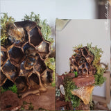 The Working Bee