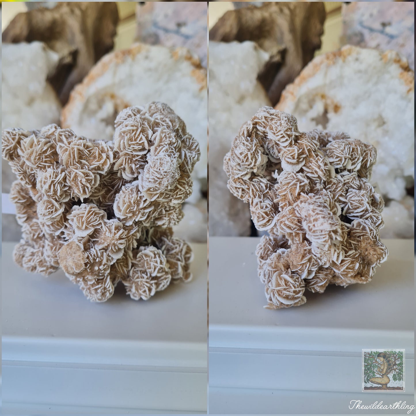 Desert Rose 353g