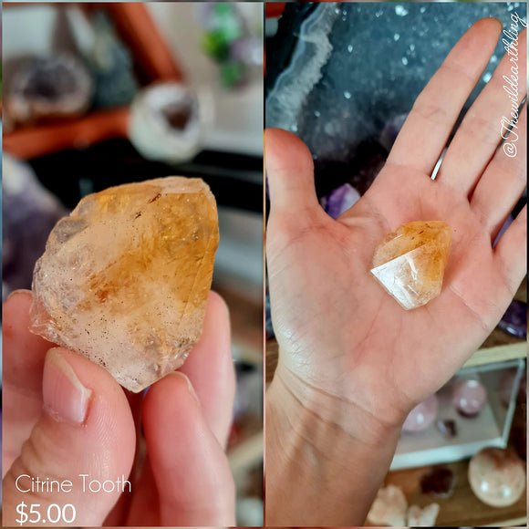 Raw Citrine Tooth