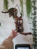 The Hanging Villa