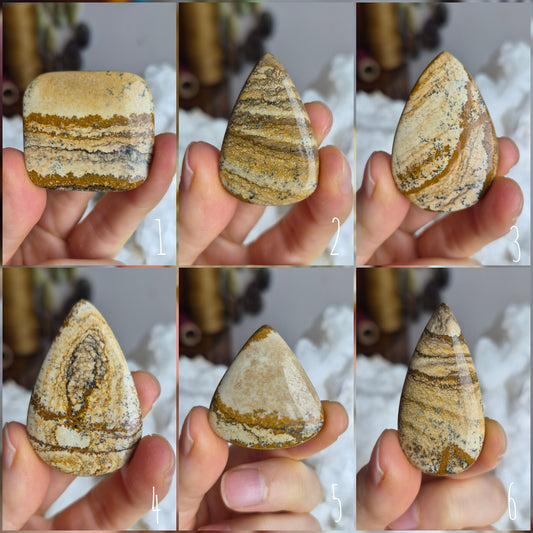 Picture Jasper
