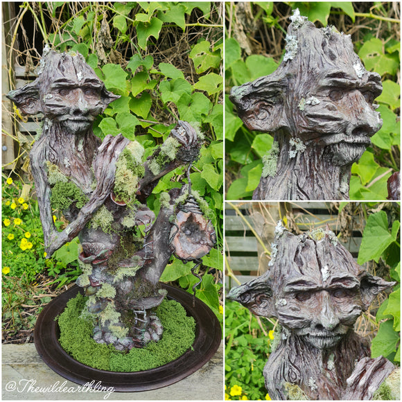 Sir Oakly the Forest Keeper