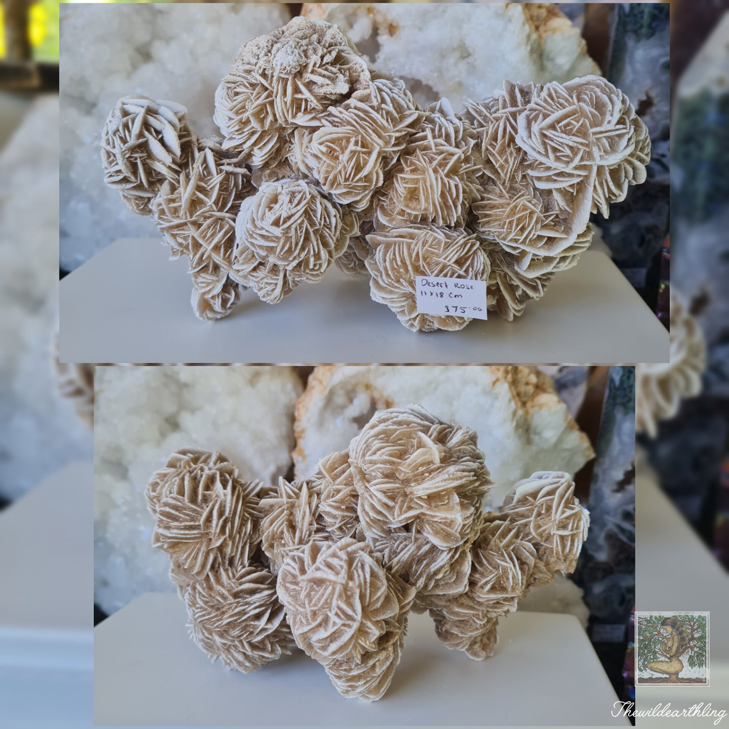 Desert Rose 903g