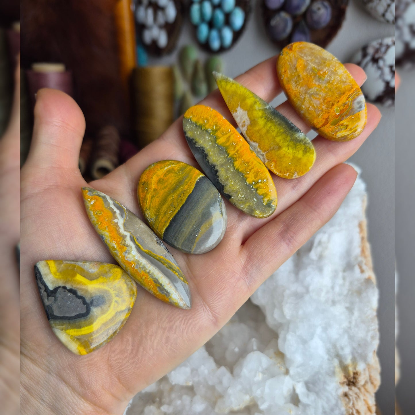 Bumblebee Jasper