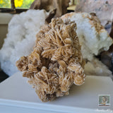 Desert Rose 1.45kg