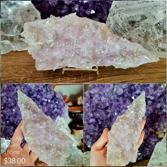 Lilac Amethyst Flower 165mm