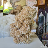 Desert Rose 1.64kg