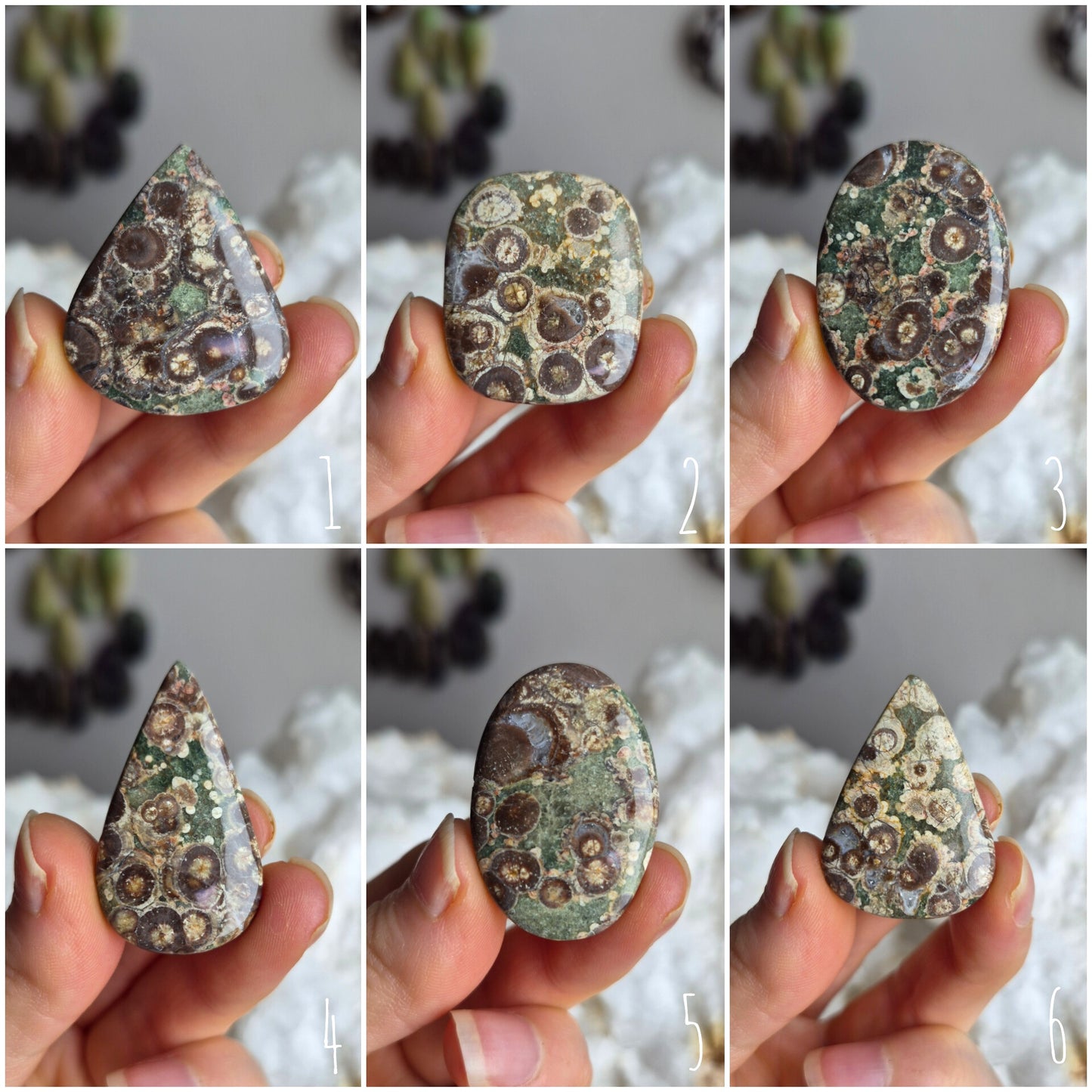 Leopard Skin Jasper