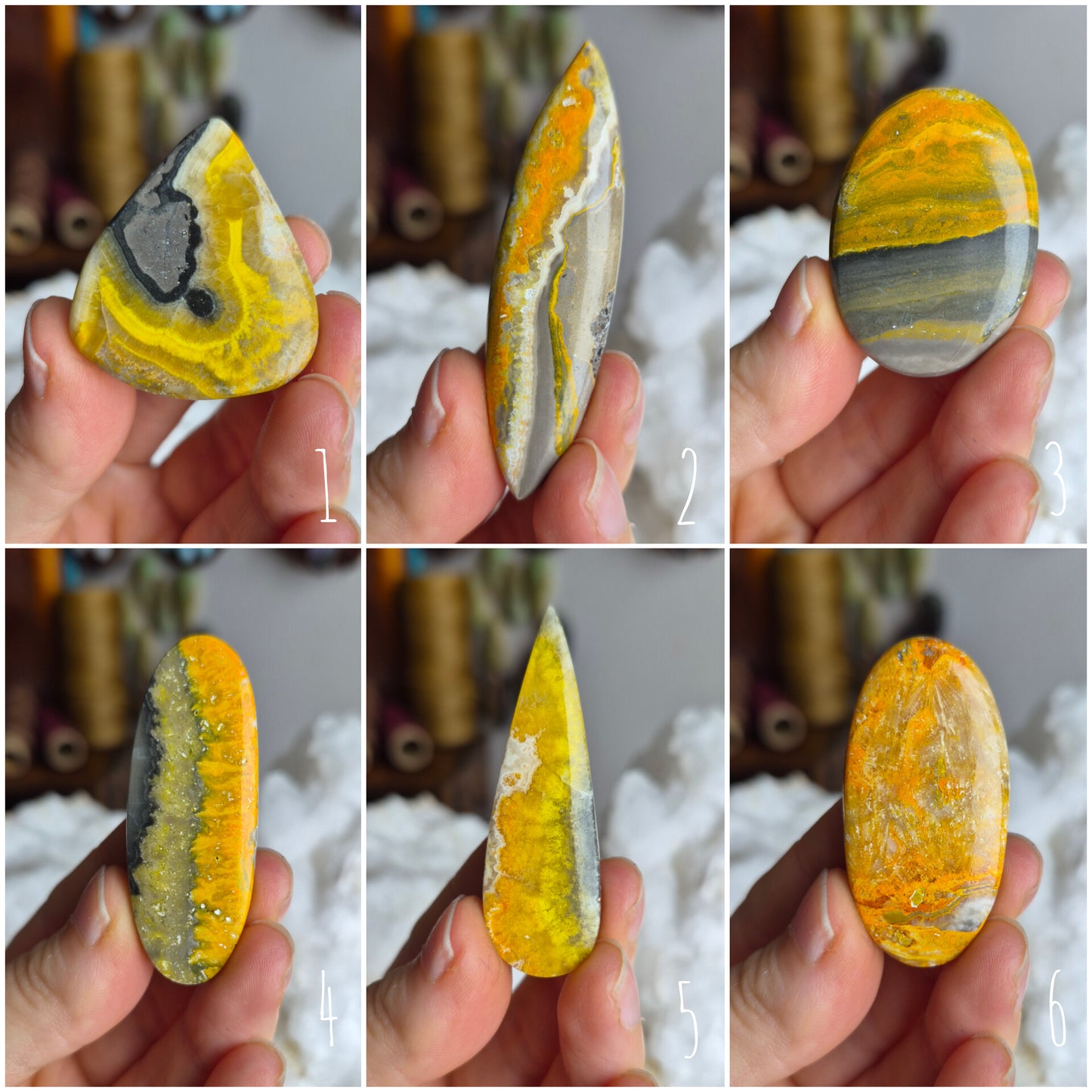 Bumblebee Jasper