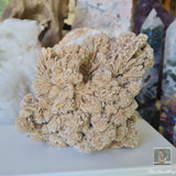 Desert Rose 1.45kg