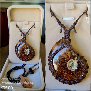 Ammonite Fossil Wrapped in Dark Mocca