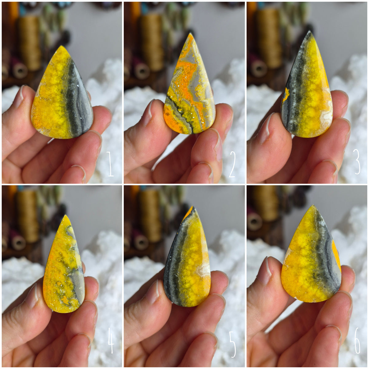 Bumblebee Jasper