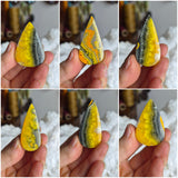 Bumblebee Jasper