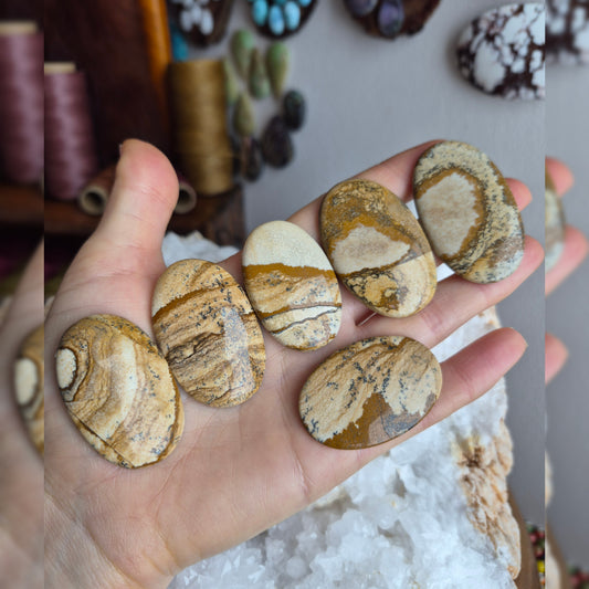 Picture Jasper