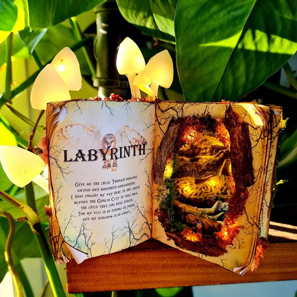 Labyrinth Light up Book Nook