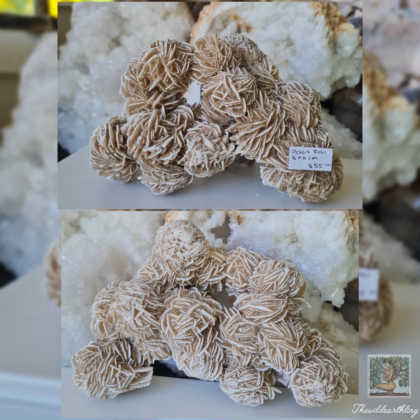 Desert Rose 637g