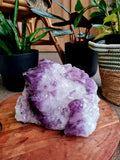 Giant Amethyst Point Cluster