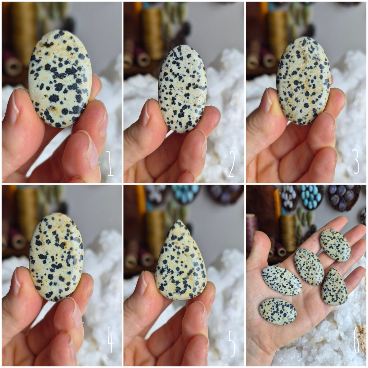 Dalmatian Jasper